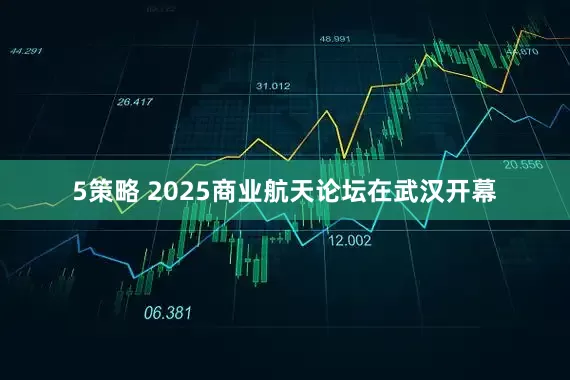 5策略 2025商业航天论坛在武汉开幕