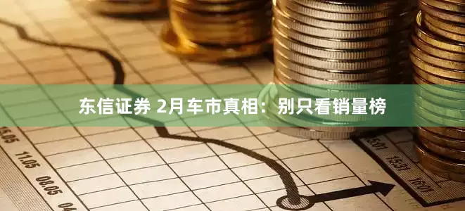 东信证券 2月车市真相：别只看销量榜